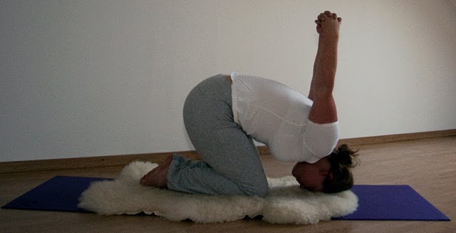 Voordat u gaat beginnen...